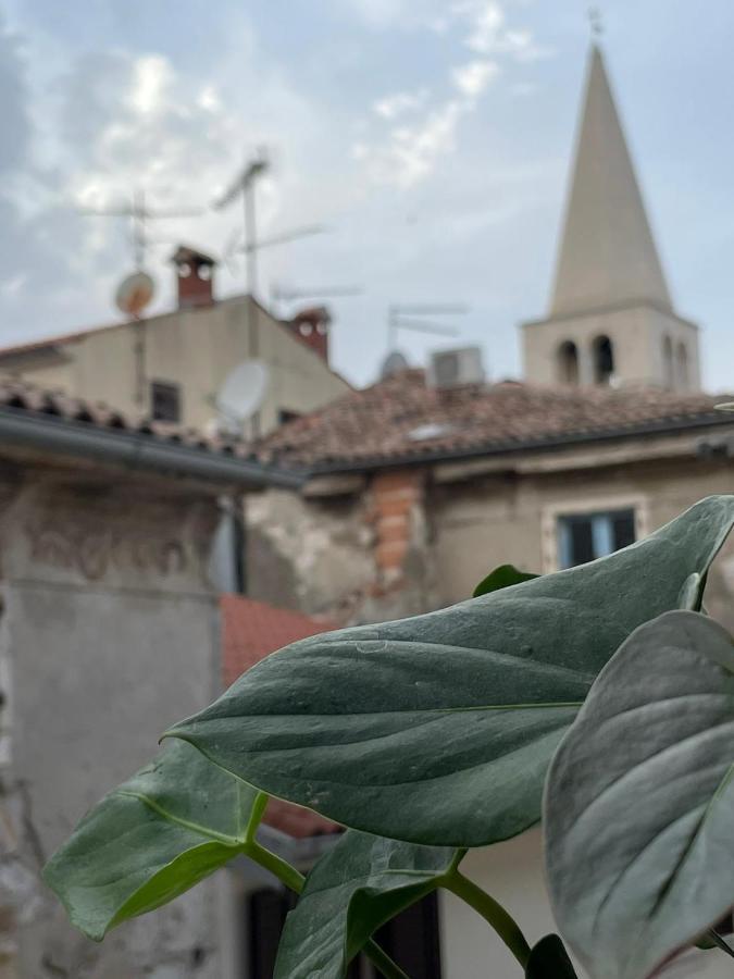 Apartment Martina Old City Center Apartman